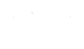 Mesquite Creek Outfitters